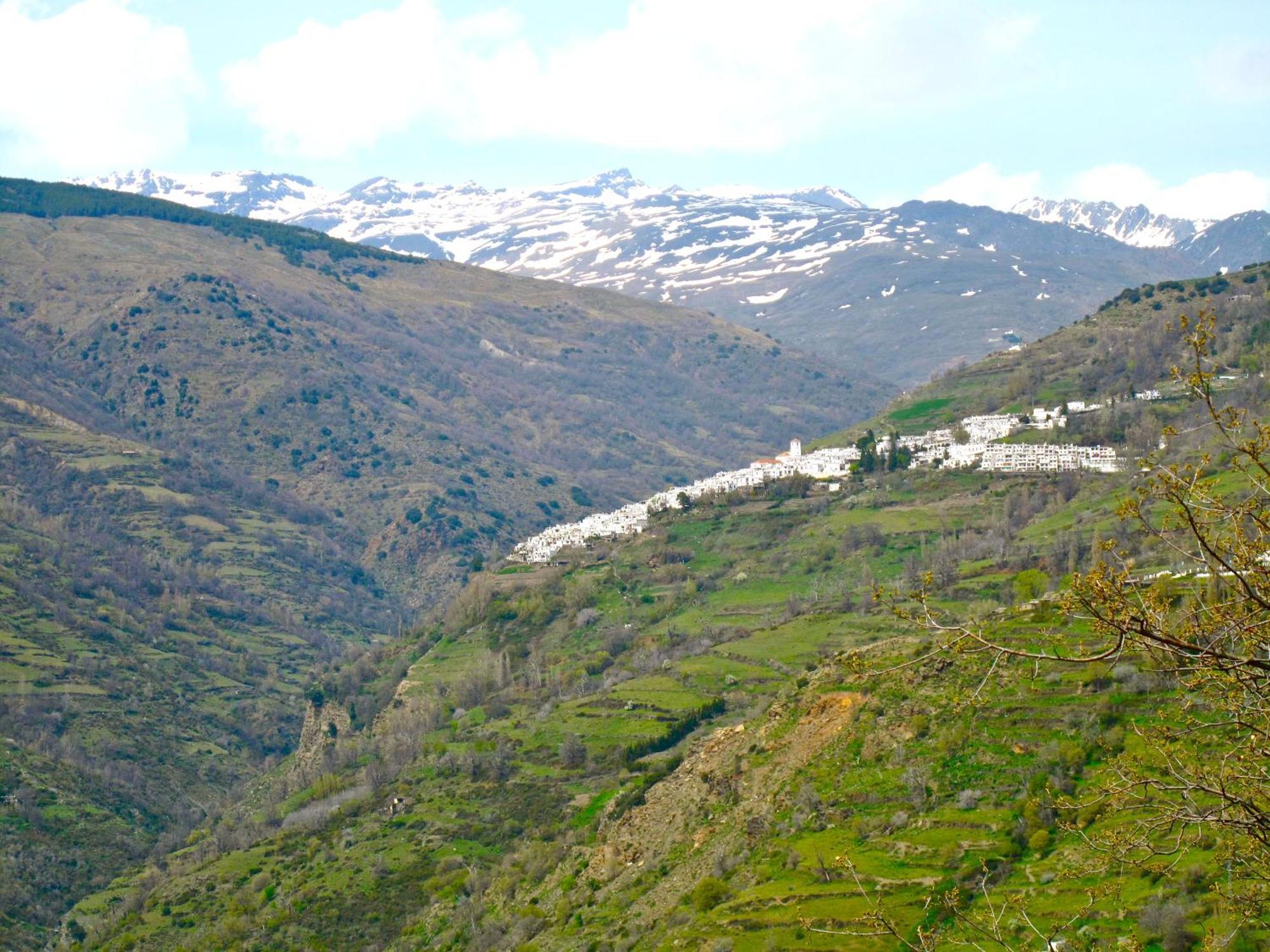 Atalbeitar Rural House, Heated Pool & Steam Room, Casa Aloe. מראה חיצוני תמונה