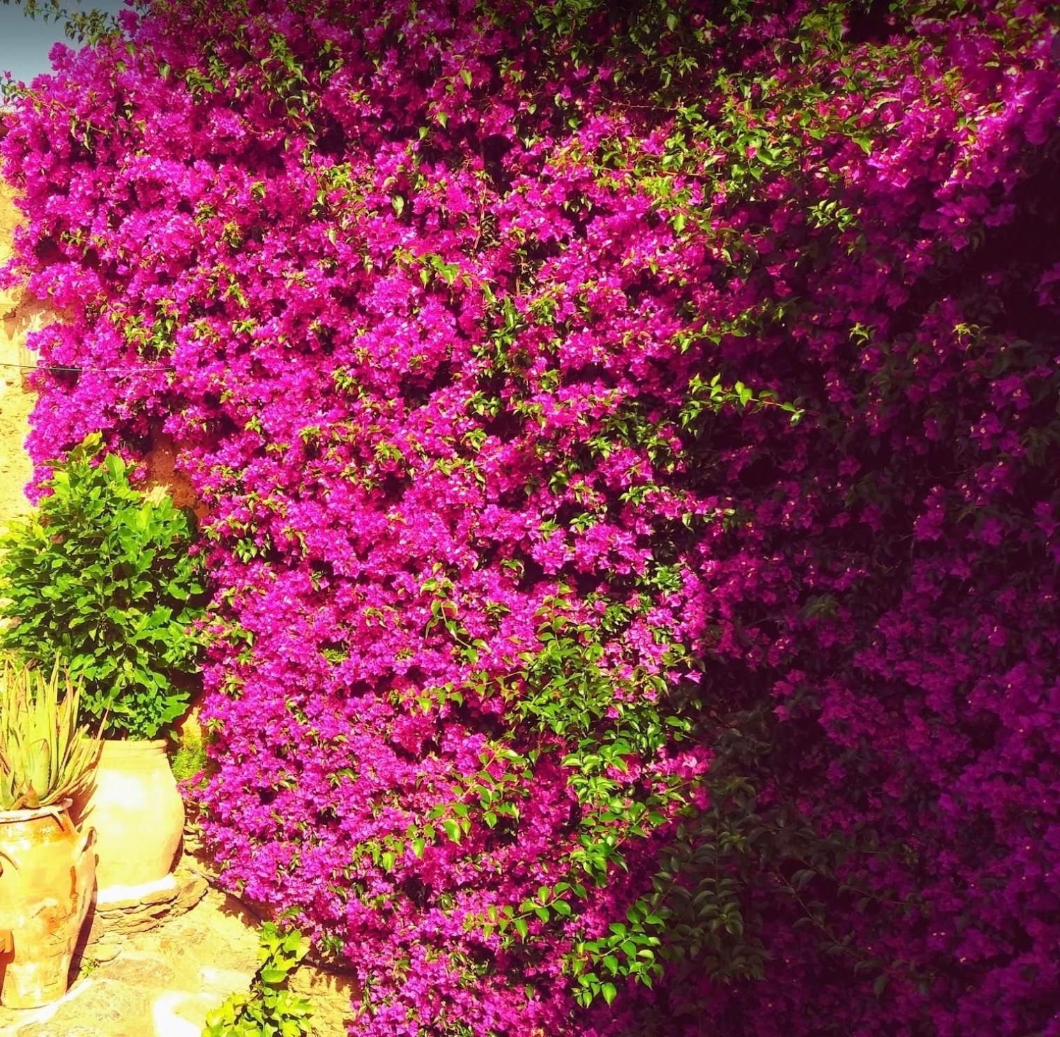 Atalbeitar Rural House, Heated Pool & Steam Room, Casa Aloe. מראה חיצוני תמונה